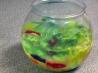 Fish Bowl Jello!