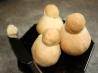 Zwieback