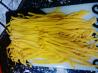 Fresh Egg Pasta-Gluten Free