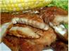 BROILED, "SMOKIE" CATFISH