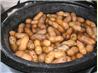 Crock Pot Boiled Peanuts. Recipe by PugsAndKisses