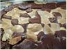 Earthquake Cake