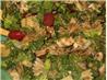 Trattoria Salad