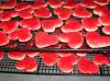Sour Cream Cutout Cookies