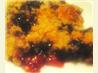 Plum and Blueberry Crisp