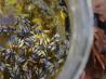 Lavender Salad Dressing