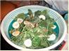 Spinach Salad with Mustard-Bacon Dressing. Recipe by evelyn/athens
