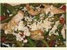 Greek Chicken and Vegetables in Foil