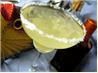 The Ultimate Margarita