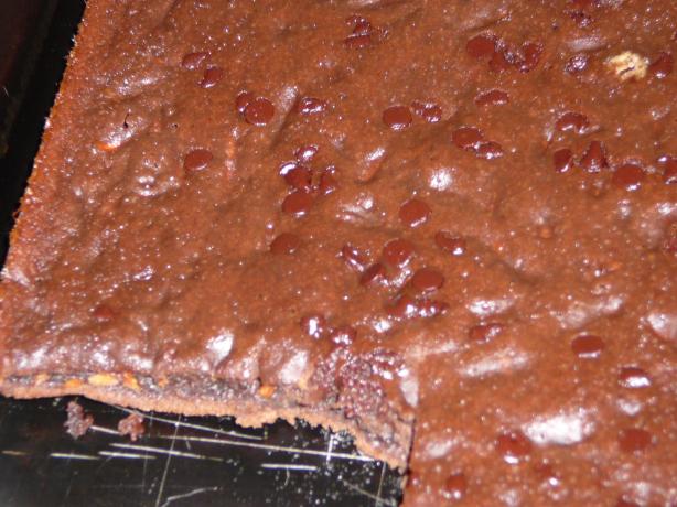 Light Carrot Cocoa Snack Cake --(Brownies). Photo by BLUE ROSE