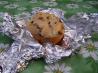 Campfire Muffins
