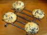 Blueberry Buttermilk Muffins