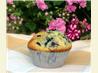 Blueberry Buttermilk Muffins