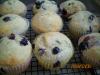 Blueberry Buttermilk Muffins