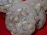 Macadamia Nut Cookies. Recipe by ~Nimz~