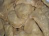 Homemade Sauerkraut Pierogies / Perogies - Old Fashioned Recipe