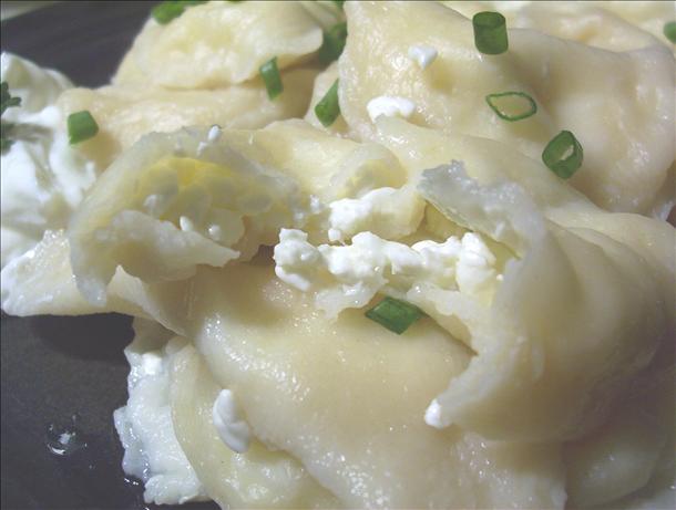 Homemade Cottage Cheese Pierogies / Perogies - the Old Fashioned. Photo by * Pamela *
