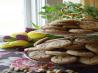 Big Grandma's Best Peanut Butter Cookies