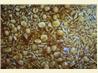 Butterscotch Nut Slice. Recipe by Daydream