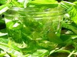 Lemon Verbena Water