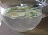 Refreshing Mojito  by the Pitcher Mojitos
