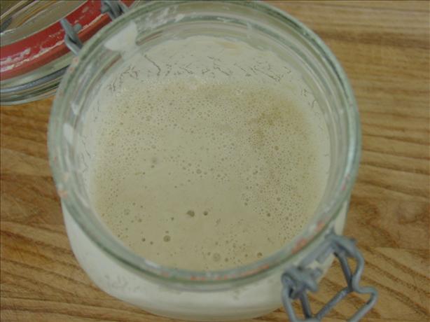 Sourdough Starter. Photo by Chef Stevo