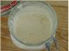 Sourdough Starter