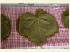 Grape Leaves-Canning Recipe