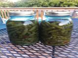 Spicy Dilly Beans