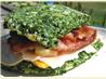 No Carb Spinach Bread