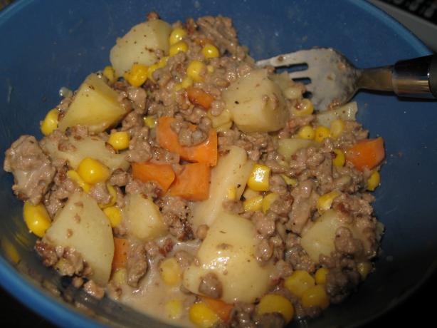 Easy Hamburger Stew. Photo by KellyMae