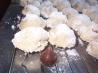 Pecan Balls (Christmas Cookies)