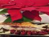 Turkey and Cranberry Pie