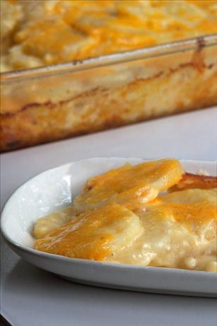 Simply Rich Cheddar Scalloped Potatoes. Photo by NcMysteryShopper