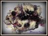 Fresh Blueberry Cobbler