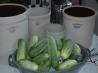 Bread and Butter Pickles