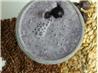 Blueberry and Flax Milkshake. Recipe by Rita~