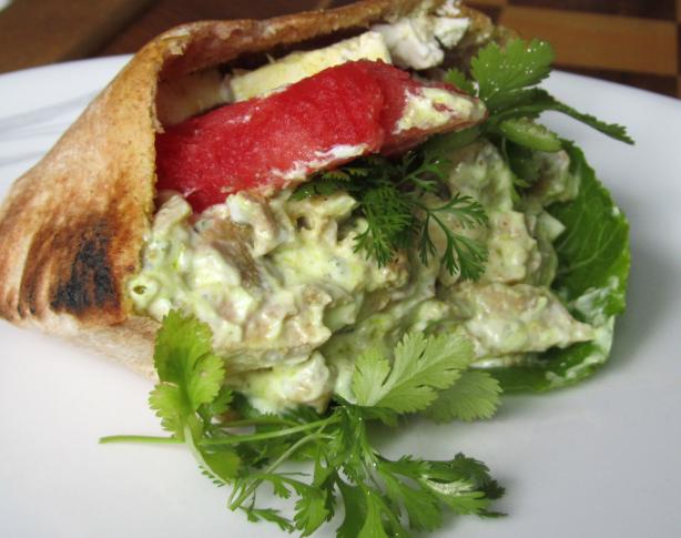 Summer Pita Sandwich. Photo by Rita~