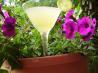 Red Lobster Margaritas