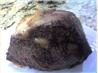 Perfect Prime Rib