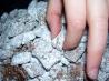 Puppy Chow or Monkey Munch