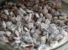 Puppy Chow or Monkey Munch