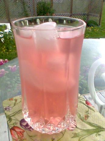 Iced Rhubarb Tea. Photo by Diana #2