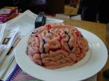 Brain Gelatin