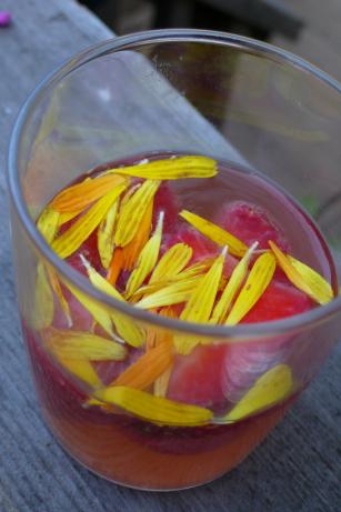 Easy homemade wine. Photo by Chef #837748