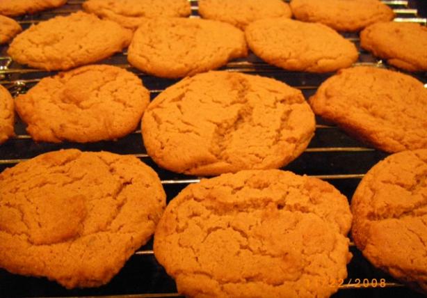 Gingernut Biscuits. Photo by Susiecat too