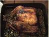 Roasted Turkey