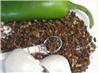 Oven Dried Jalapeno Peppers and Garlic powder. Recipe by Rita~