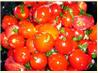 Tomato Salad with Ginger-Garlic Dressing