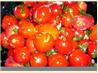 Tomato Salad with Ginger-Garlic Dressing